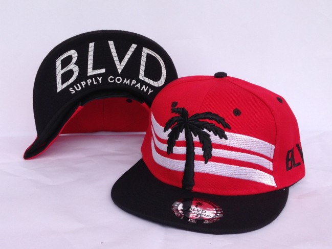 Blvd Supply Snapback Hat #12
